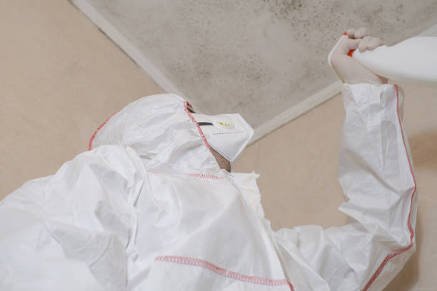 Best Industrial Mold Remediation  in Pleasant Hills, OH